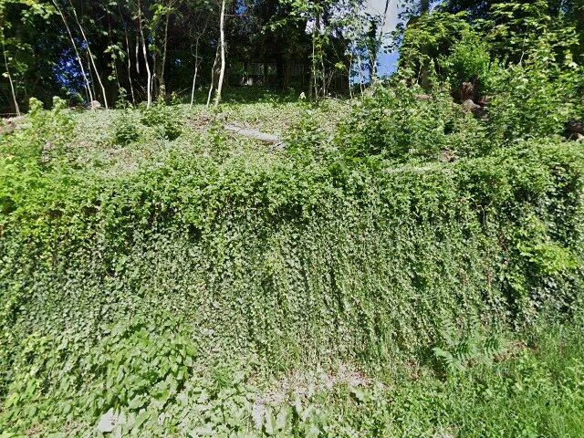 House image located at East Liverpool, OH 43920