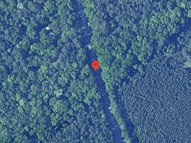 House image located at Galivants Ferry, SC 29544