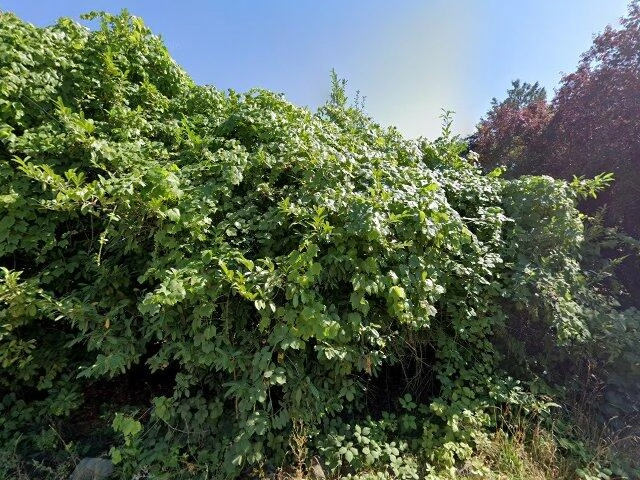 House image located at Portland, OR 97266