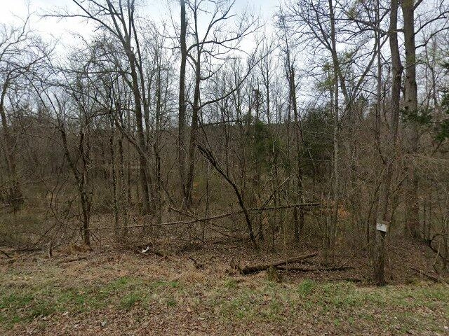 House image located at Black Mountain, NC 28711