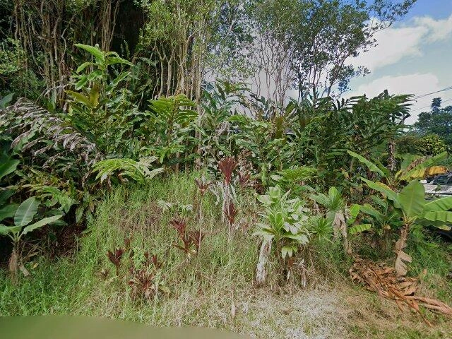 House image located at Mountain View, HI 96771