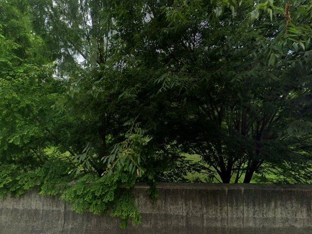 House image located at Efland, NC 27243