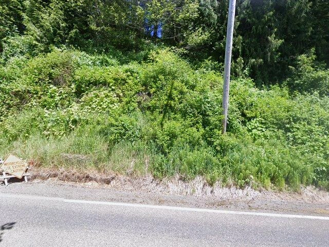 House image located at Montesano, WA 98563