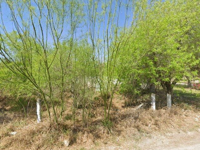 House image located at Mission, TX 78572