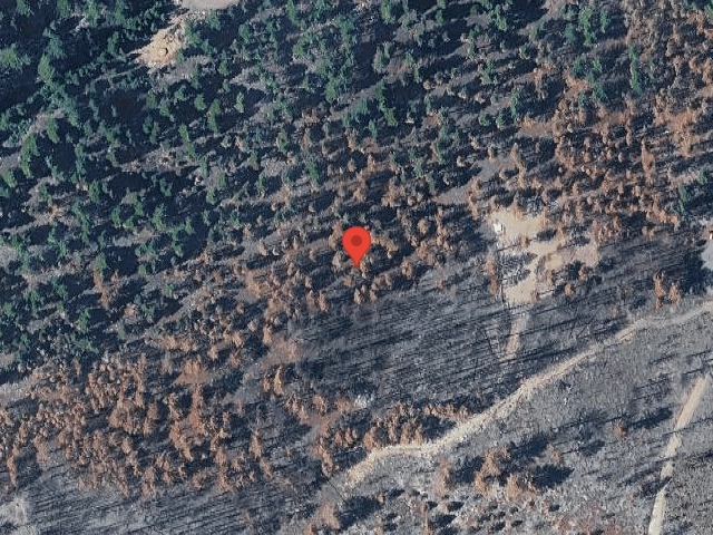 House image located at Reno, NV 89511
