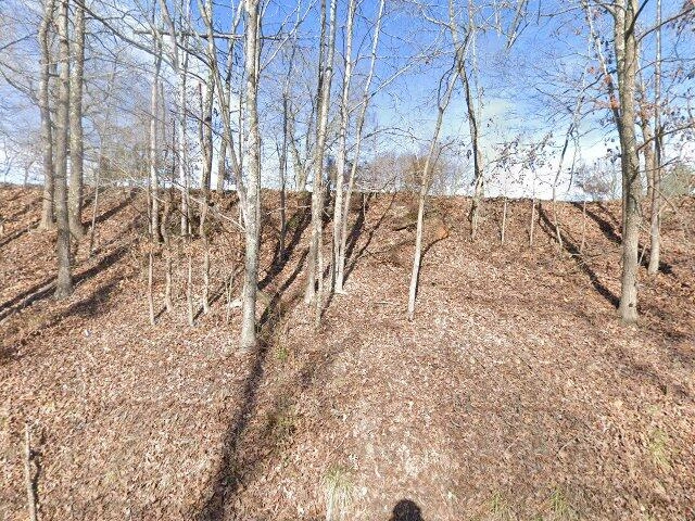 House image located at Cumberland Furnace, TN 37051