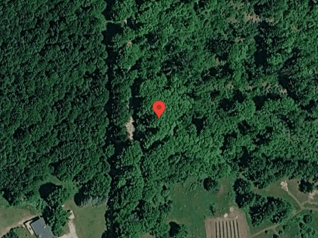 House image located at Alden, MI 49612