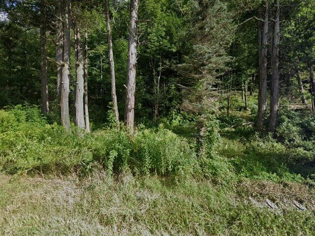 House image located at Livingston Manor, NY 12758