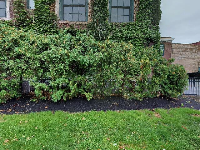 House image located at Norwood, PA 19074