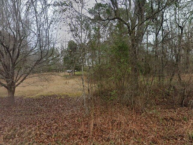 House image located at Little Mountain, SC 29075