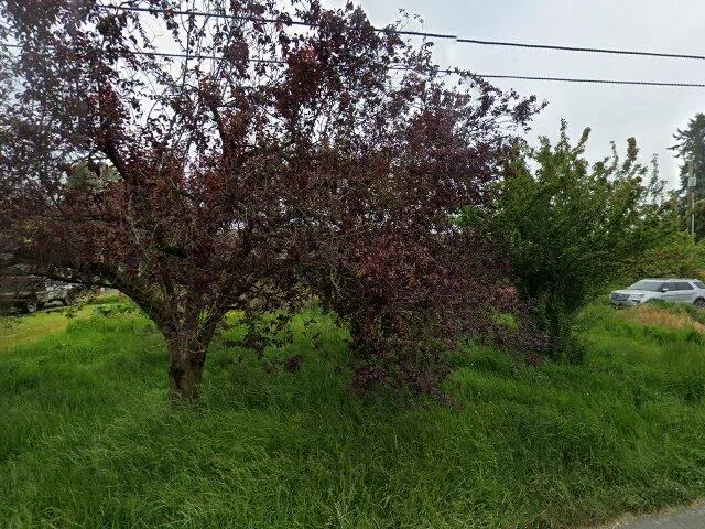 House image located at Stanwood, WA 98292