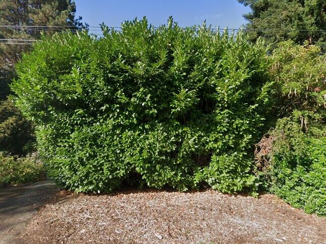 House image located at Seattle, WA 98103