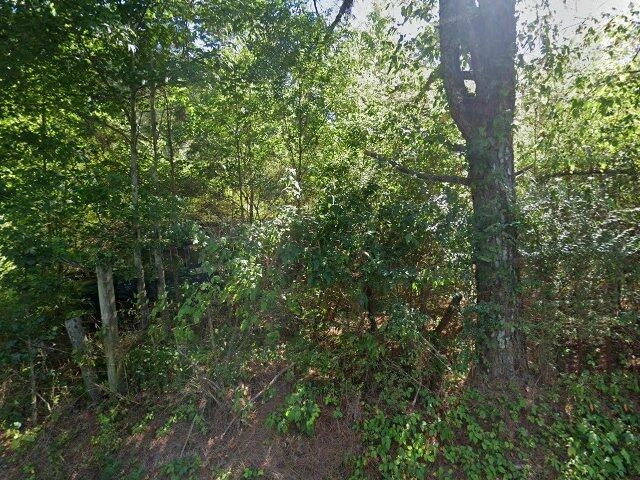 House image located at Hanceville, AL 35077