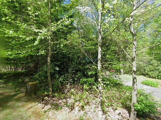 House image located at Maggie Valley, NC 28751