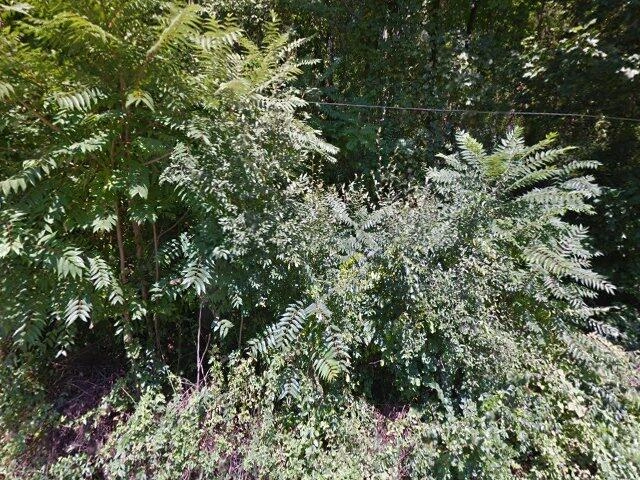 House image located at Downingtown, PA 19335