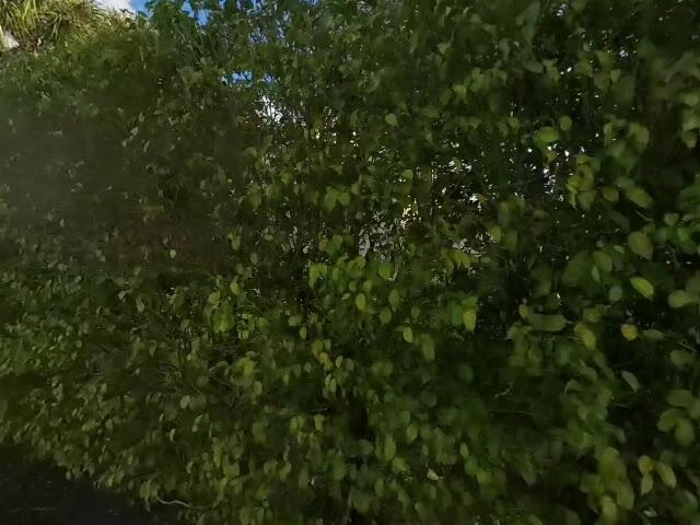 House image located at Boca Raton, FL 33433