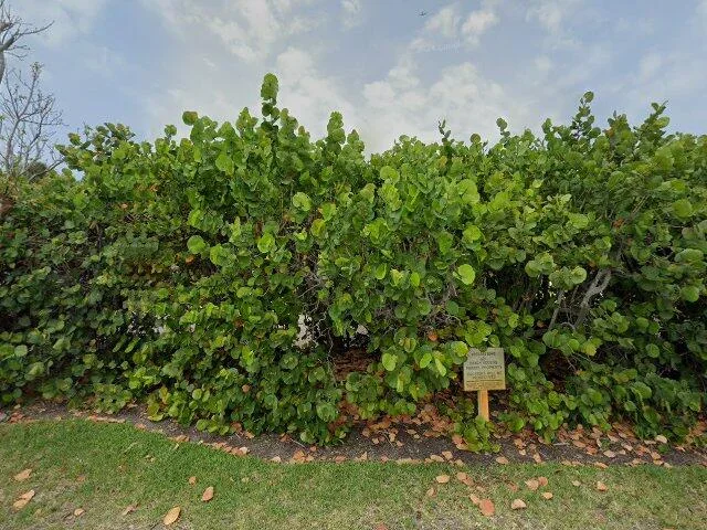 House image located at Placida, FL 33946