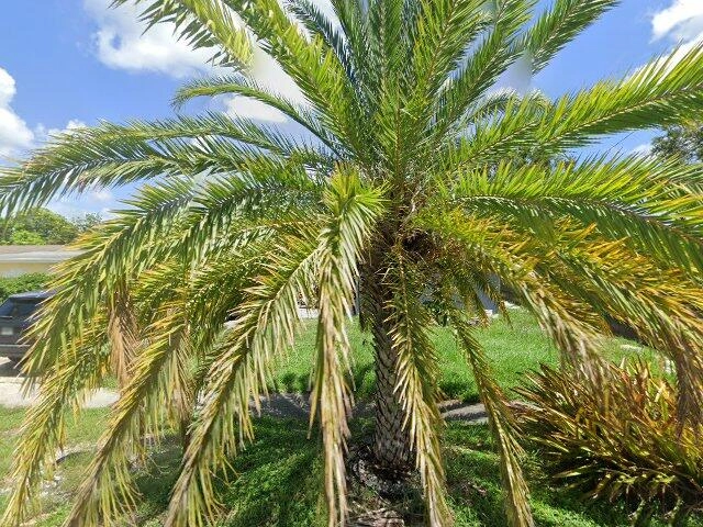 House image located at Hollywood, FL 33024