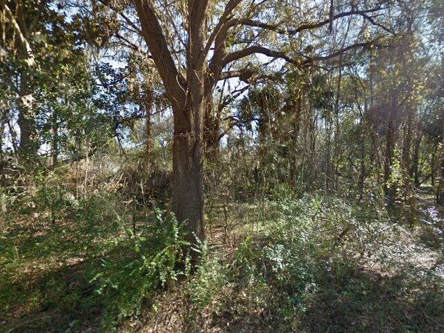 House image located at Williston, FL 32696