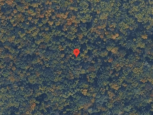 House image located at Willis, TX 77318