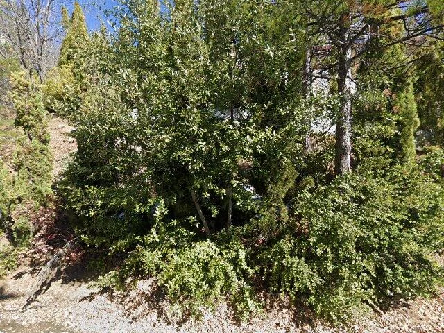 House image located at Lake Arrowhead, CA 92352