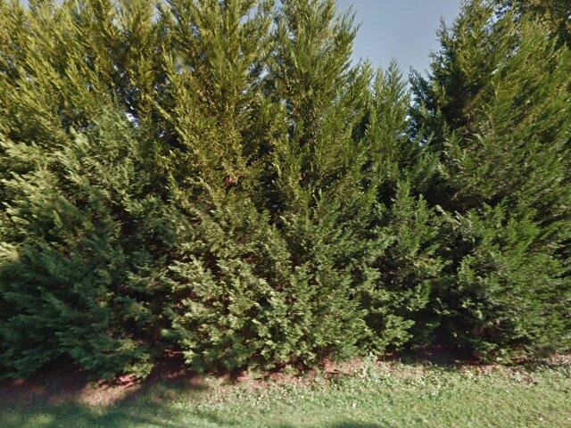 House image located at Fayetteville, NC 28303