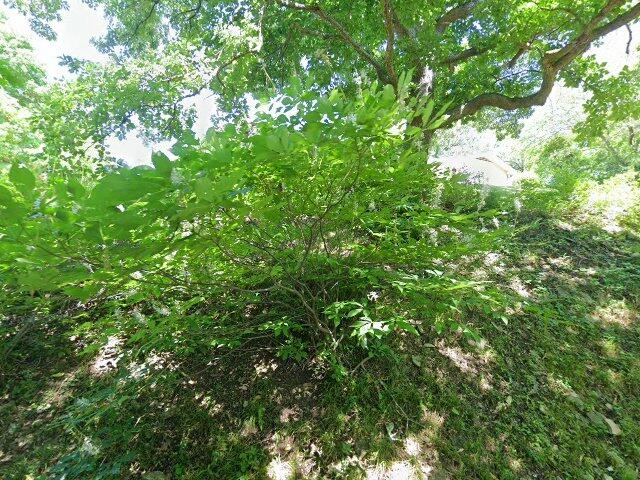 House image located at Peoria, IL 61614