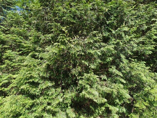 House image located at Marine City, MI 48039