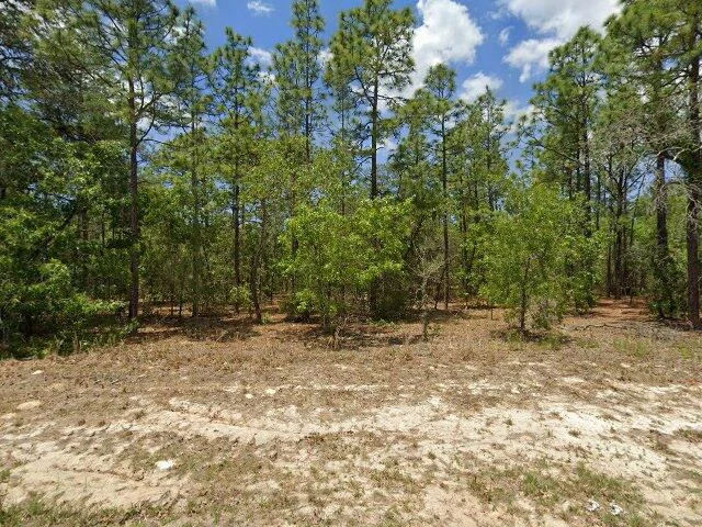 House image located at Beverly Hills, FL 34465