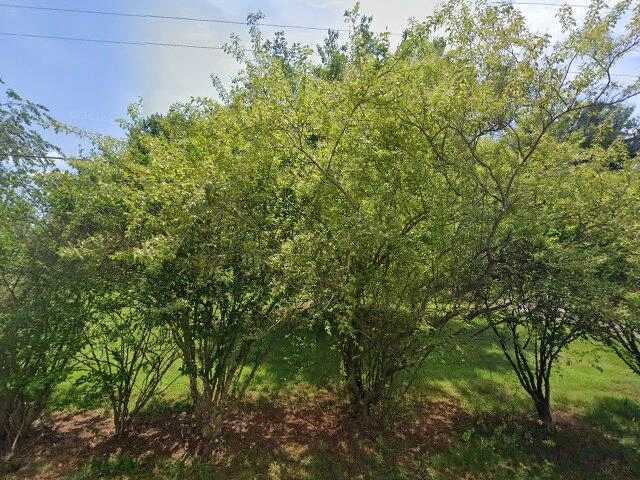 House image located at East Bend, NC 27018