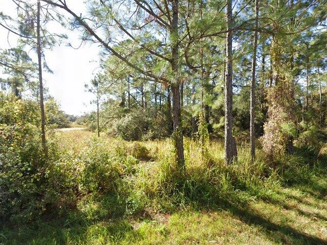 House image located at Kissimmee, FL 34759