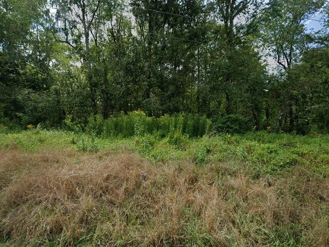 House image located at Irondale, OH 43932