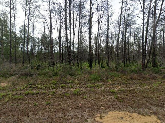 House image located at Homosassa, FL 34446