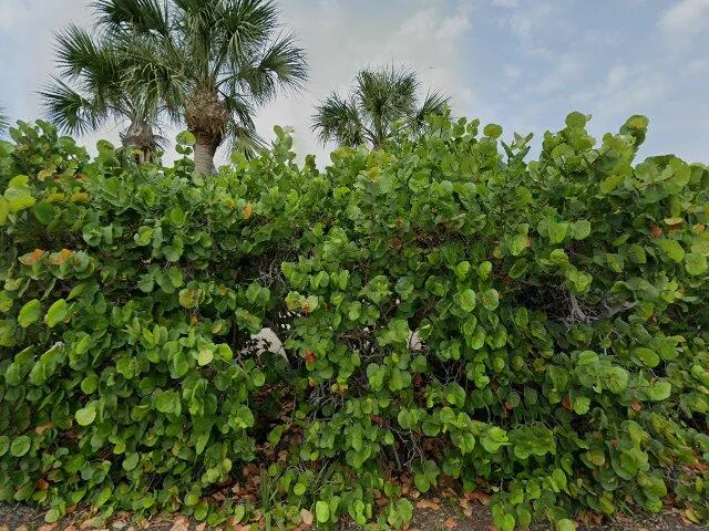 House image located at Placida, FL 33946