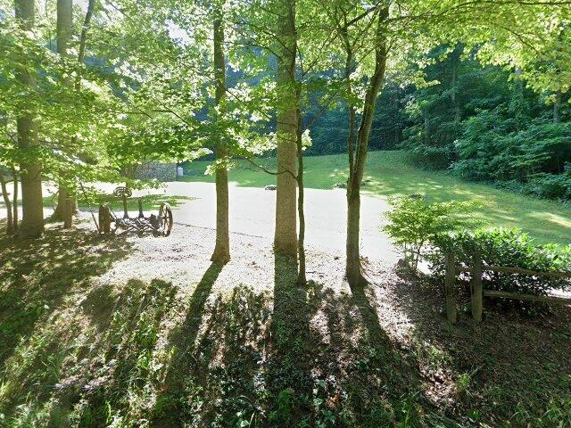 House image located at Candler, NC 28715