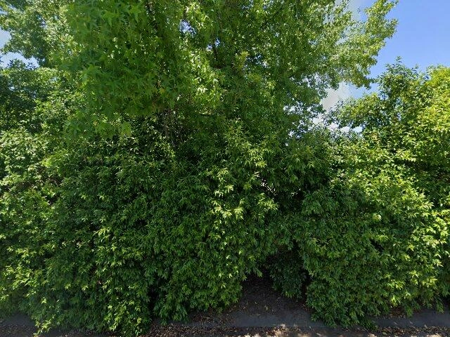 House image located at Oakdale, CA 95361