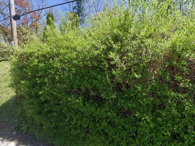 House image located at Pittsburgh, PA 15227