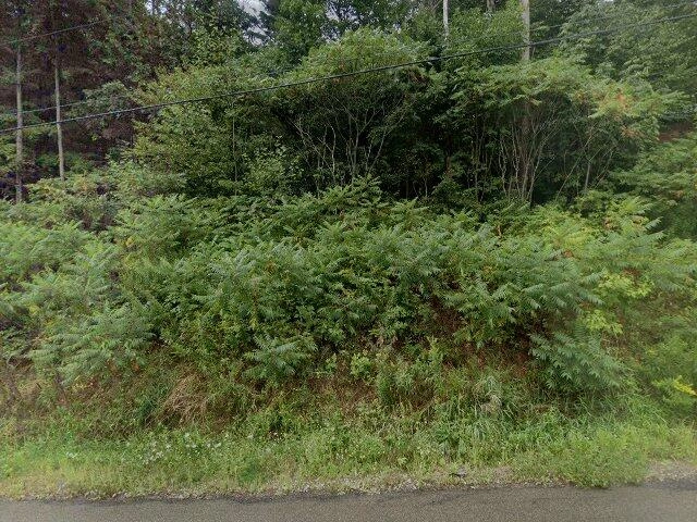 House image located at Cohocton, NY 14826