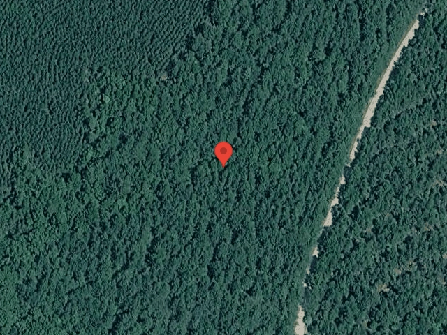 House image located at Pineville, WV 24874