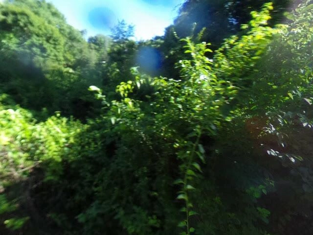 House image located at Hibernia, NJ 07842