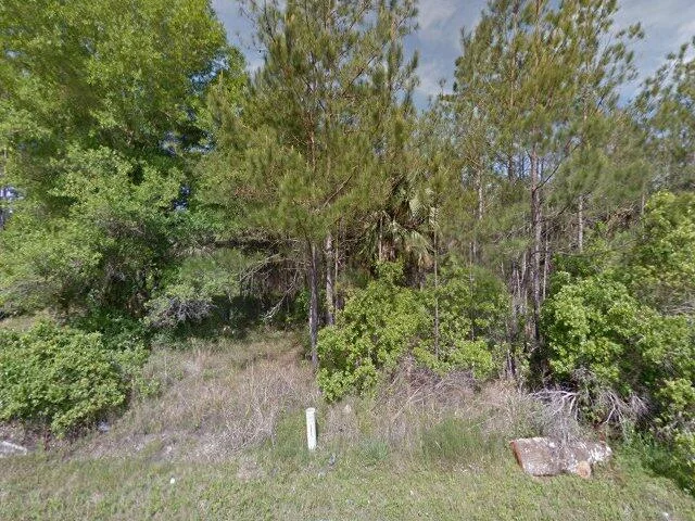 House image located at Fort McCoy, FL 32134