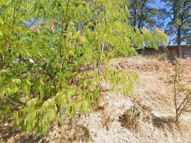 House image located at Redding, CA 96003