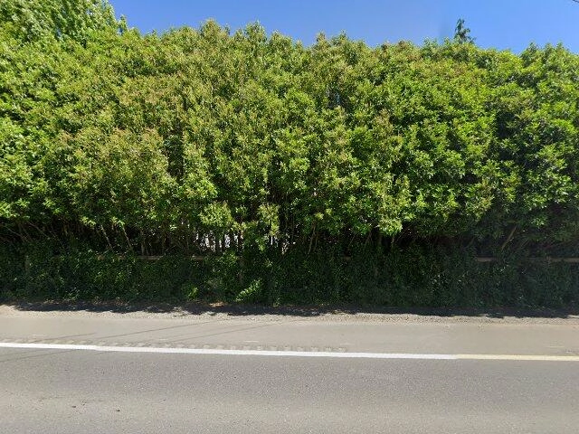 House image located at Lynden, WA 98264