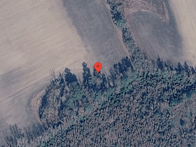 House image located at Eugene, OR 97408