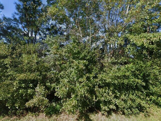 House image located at Summerville, SC 29486