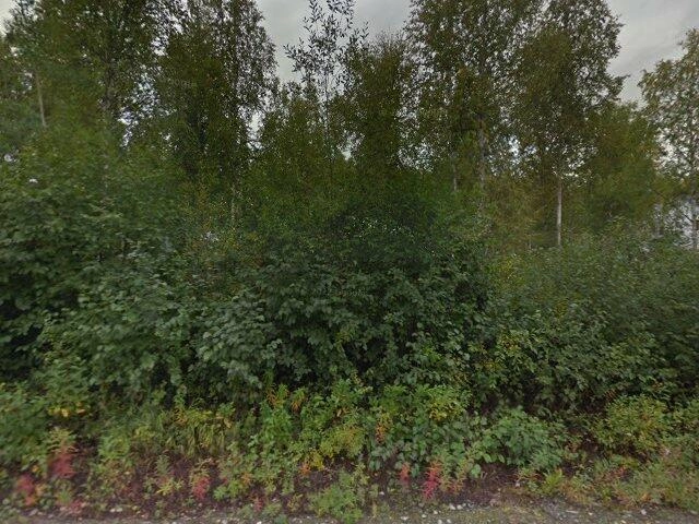 House image located at Wasilla, AK 99623