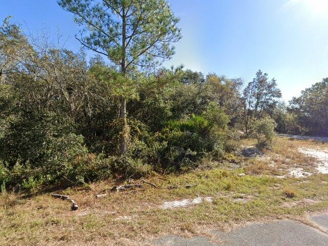 House image located at Kissimmee, FL 34759