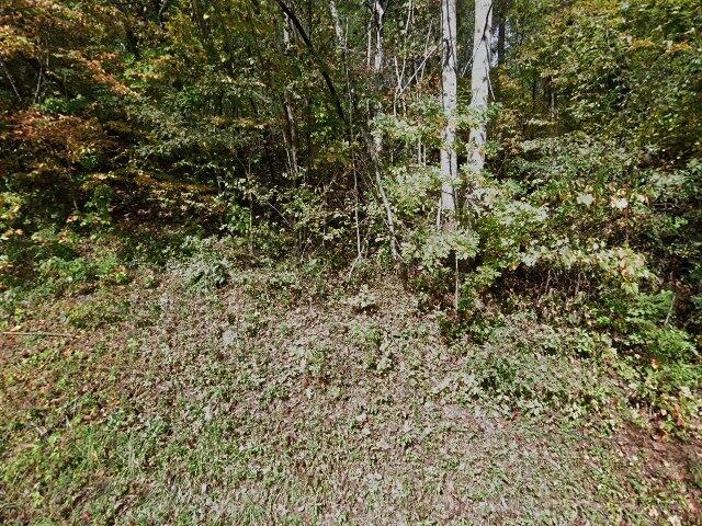 House image located at Lyndhurst, VA 22952