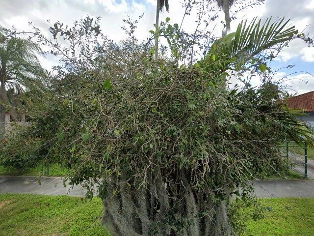 House image located at Miami, FL 33176