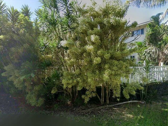 House image located at Pahoa, HI 96778